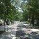 Tree‑lined paved lane with RVs and hookups visible — shows typical RV campsite area and shaded roads within the campground (site’s photo gallery context).