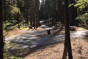 Whitcomb Creek County Park
