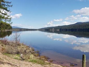 View from Seeley Lake beach looking North. A deep, blue sky and trees lining the lake can be seen reflecting in the water. 