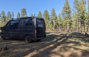 Roxy 2021 Ram Promaster "Glamping"