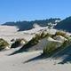A large expanse of flat sand, some grass covered dunes and conifer covered hills in the background under blue sky.