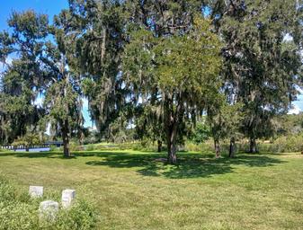Bayou Campground -Several large oak trees with hanging Spanish moss stand on a grassy area near a river or pond, with sunlight filtering through the leaves. Two small stone markers are in the foreground.