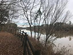 Town Creek Campground - West Point - Ms