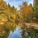 Half Dome, Merced River, fall colors