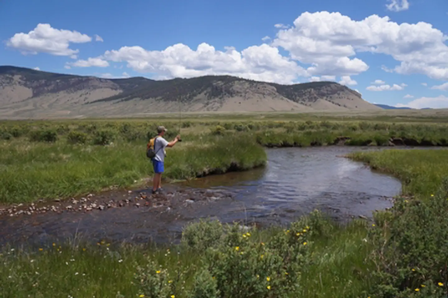 Cochetopa Creek Rec Site