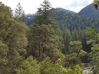 North Fork Yuba River Canyon