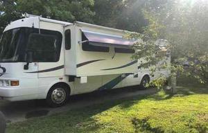 Vivi! Comfortable Camping with Everything You Need