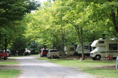 Row of RV sites along a tree-lined road with parked motorhomes — clearly shows the campground's RV pitches and layout; sourced from the lodging & campsites section.