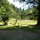 CHINQUAPIN GROUP CAMPGROUND