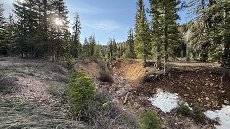 Cedar Canyon Camp