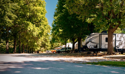 Ozark Canopy Farmington