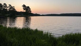Beaver Dam Campground (Kisatchie National Forest, LA)