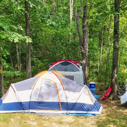 Tented campsite in a wooded site showing tent pads and surrounding trees—useful image of the campground’s tent camping areas from the 'ways to stay' gallery.