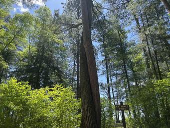 A photo of facility CLUBHOUSE LAKE with No Amenities Shown