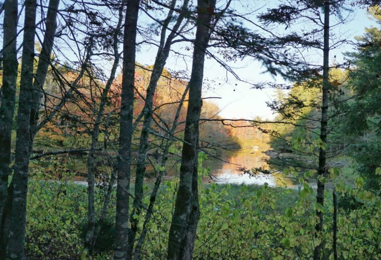 Gateway Campground