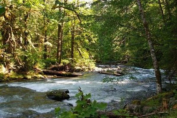 A001, Loop: AREA NORTH FORK BEAVER GROUP