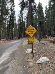 Yosemite Creek Campground