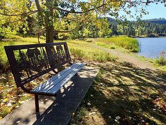 Cook Lake Rec Area