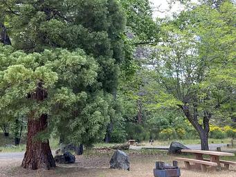 Ackerman Campground