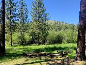 Pattee Picnic Site Fire Ring