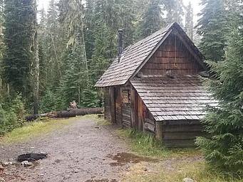 Fire ring in front of log cabin with attached, covered wood shed  in the forest.