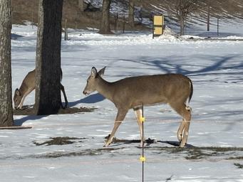 Franklin County Park