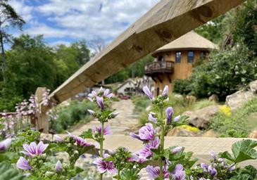 Ancient Lore Village