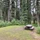 Typical Campsite in Ophir Creek Campground