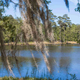 Campspot slideshow image 1