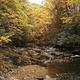 Laurel Fork at Dennis Cove Campground