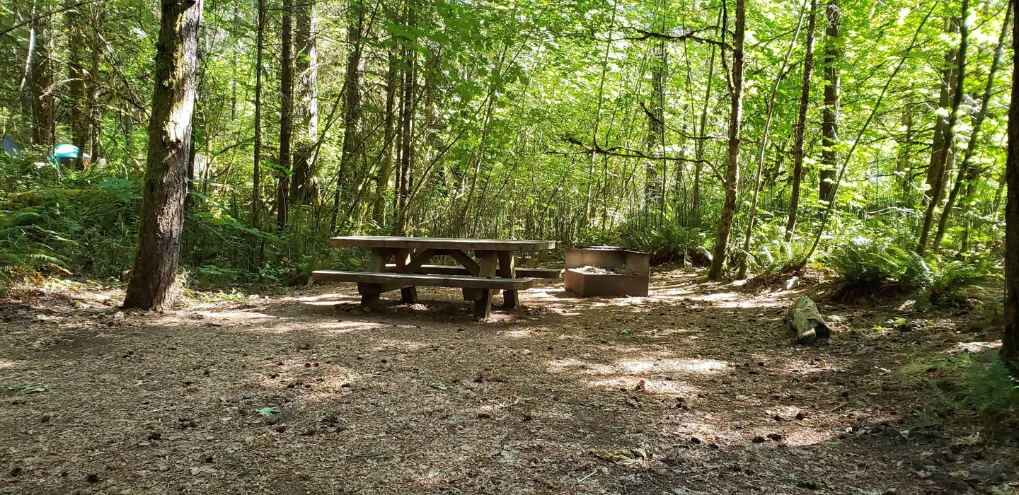 Horseshoe Bend Campground (OR)