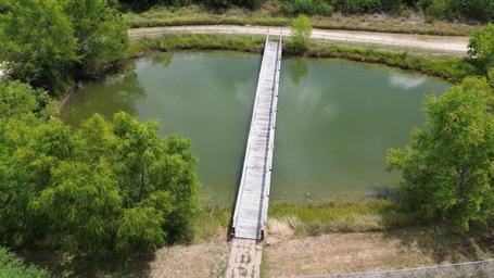 Fish Pond