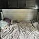 2022 Jayco Jay Flight SLX 8 242BHS RV rental photo 18