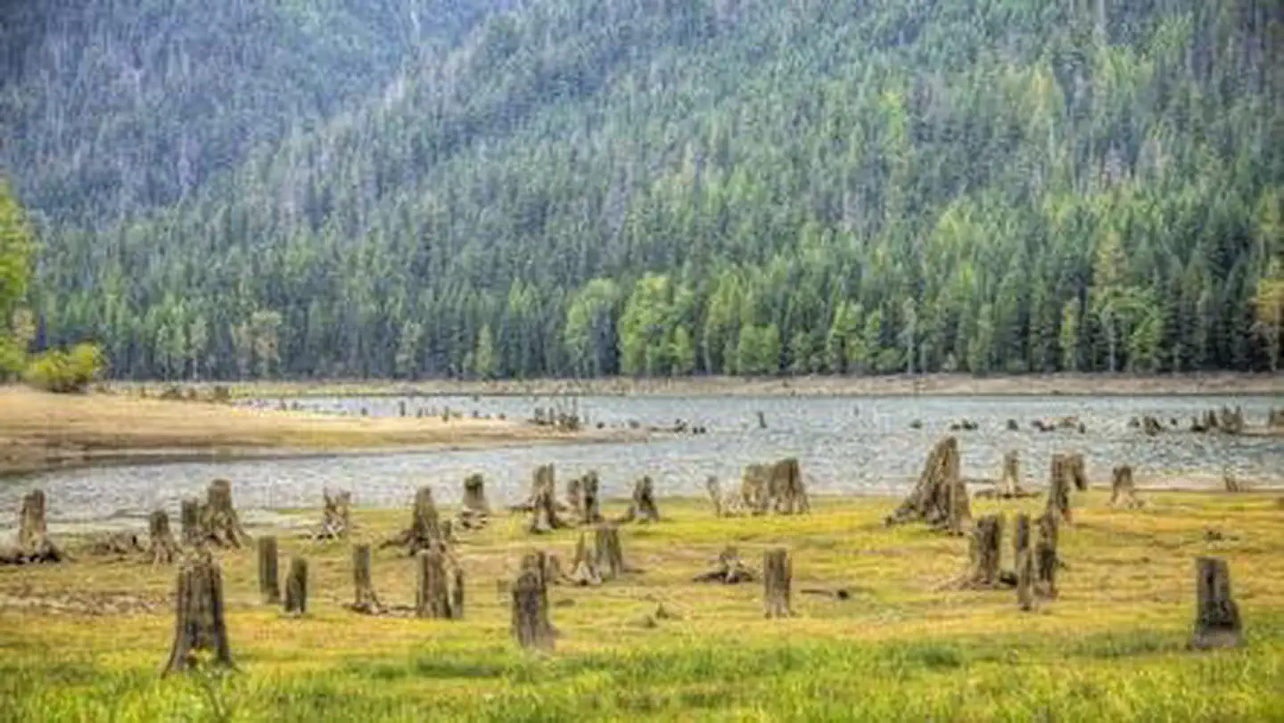 Bumping Lake Campground