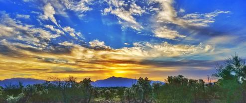 Cactus Country RV Resort