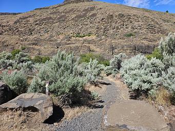Path leading to walk-to campsite 1