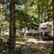 Daytime view of several RVs parked among trees showing wooded RV sites, picnic tables and the campground’s site spacing — matches the site gallery images on the property homepage.