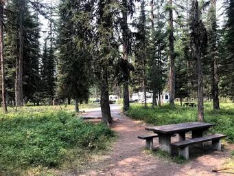 Site 9 Table and Driveway Looking West at Occupied Campsites