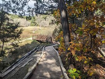 Trail with fall colors