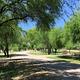 Cottonwoods and acacia trees provide shelter and shade to campers.