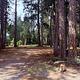 Fox Sparrow RV Resort and Campground