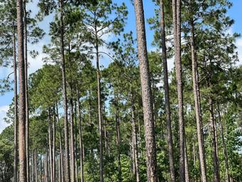 Indian Creek Recreation Area