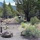 South Steens Campground