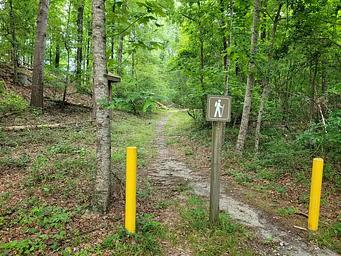 Below Dam South Carolina Trail