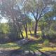 Picnic area surrounded by cottonwoods and shrubs