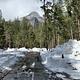 Snow in Upper Pines