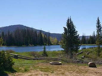  Potters   Pond 