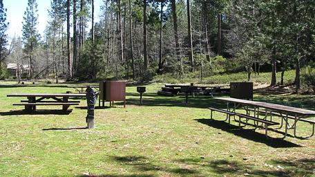 PGS, Loop: AREA PINES GROUP/STANISLAUS