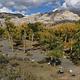 Looking down on Green River Campground from Cub Creek Road overlook.   Cottonwood trees are starting to turn yellow.