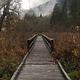 Boardwalk on Wetlands Trail